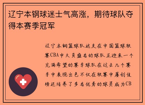 辽宁本钢球迷士气高涨，期待球队夺得本赛季冠军