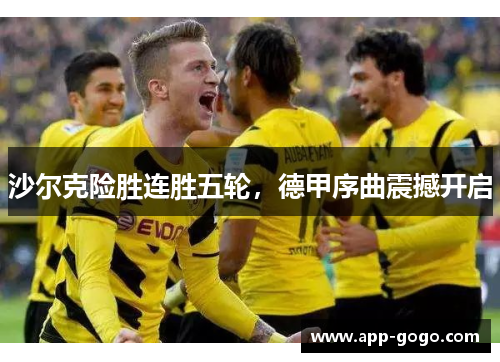 沙尔克险胜连胜五轮，德甲序曲震撼开启